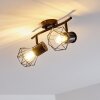 Bardhaman Ceiling Light black, 2-light sources