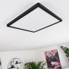 Boyero Ceiling Light LED black, 1-light source