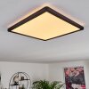 Boyero Ceiling Light LED black, 1-light source