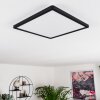 Boyero Ceiling Light LED black, 1-light source