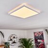 Boyero Ceiling Light LED white, 1-light source