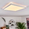 Boyero Ceiling Light LED white, 1-light source