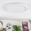 Boyero Ceiling Light LED white, 1-light source