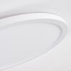 Boyero Ceiling Light LED white, 1-light source