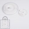 Boyero Ceiling Light LED white, 1-light source