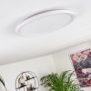 Boyero Ceiling Light LED white, 1-light source