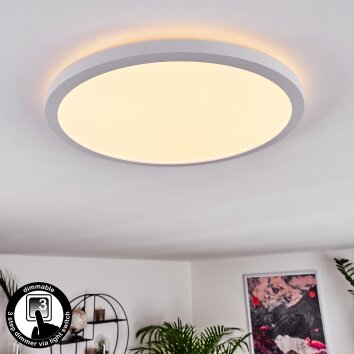 Boyero Ceiling Light LED white, 1-light source