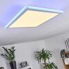Mota Ceiling Light LED white, 1-light source, Remote control, Colour changer