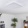 Mota Ceiling Light LED white, 1-light source, Remote control, Colour changer
