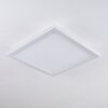 Mota Ceiling Light LED white, 1-light source, Remote control, Colour changer