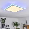 Mota Ceiling Light LED white, 1-light source, Remote control, Colour changer
