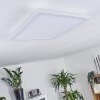 Mota Ceiling Light LED white, 1-light source, Remote control, Colour changer