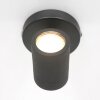 Steinhauer Upround ceiling spotlight LED black, 1-light source