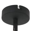 Steinhauer Natasja Ceiling Light LED black, 1-light source