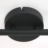 Steinhauer Natasja Ceiling Light LED black, 2-light sources