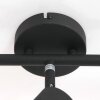 Steinhauer Natasja Ceiling Light LED black, 3-light sources