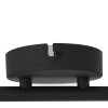 Steinhauer Natasja Ceiling Light LED black, 4-light sources