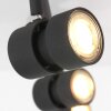 Steinhauer Natasja Ceiling Light LED black, 4-light sources