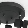 Steinhauer Natasja Ceiling Light LED black, 3-light sources