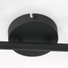 Steinhauer Natasja Ceiling Light LED black, 6-light sources