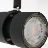 Steinhauer Natasja Ceiling Light LED black, 6-light sources