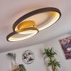 Baiyin Ceiling Light LED gold, 1-light source