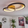 Baiyin Ceiling Light LED gold, 1-light source