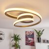 Ignal Ceiling Light LED grey, 1-light source