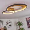 Tuzik Ceiling Light LED gold, black, 1-light source