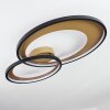Tuzik Ceiling Light LED gold, black, 1-light source