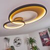 Tuzik Ceiling Light LED gold, black, 1-light source