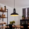 Chimay Pendant Light black, 1-light source