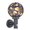 Globo HILARIO Outdoor Wall Light anthracite, 1-light source, Motion sensor