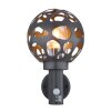 Globo HILARIO Outdoor Wall Light anthracite, 1-light source, Motion sensor