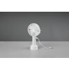 Reality Windy electric desk fan white