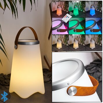 Chilar Table lamp LED brown, white, 1-light source, Remote control, Colour changer