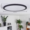 Boyero Ceiling Light LED black, 1-light source