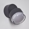 Papagayos Outdoor Wall Light LED anthracite, 1-light source, Colour changer