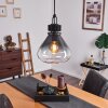 Coapilla Pendant Light black, 1-light source