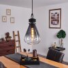 Coapilla Pendant Light black, 1-light source