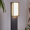 Skove path light LED anthracite, 1-light source, Motion sensor