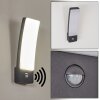 Maseru Outdoor Wall Light LED anthracite, 1-light source, Motion sensor