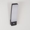 Maseru Outdoor Wall Light LED anthracite, 1-light source, Motion sensor