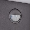 Maseru Outdoor Wall Light LED anthracite, 1-light source, Motion sensor