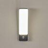 Maseru Outdoor Wall Light LED anthracite, 1-light source, Motion sensor