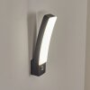Maseru Outdoor Wall Light LED anthracite, 1-light source, Motion sensor