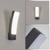 Maseru Outdoor Wall Light LED anthracite, 1-light source