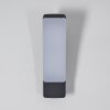 Maseru Outdoor Wall Light LED anthracite, 1-light source