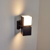 Swanek Outdoor Wall Light LED black, 1-light source