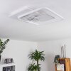 Panchita Ceiling Light LED white, 1-light source, Remote control